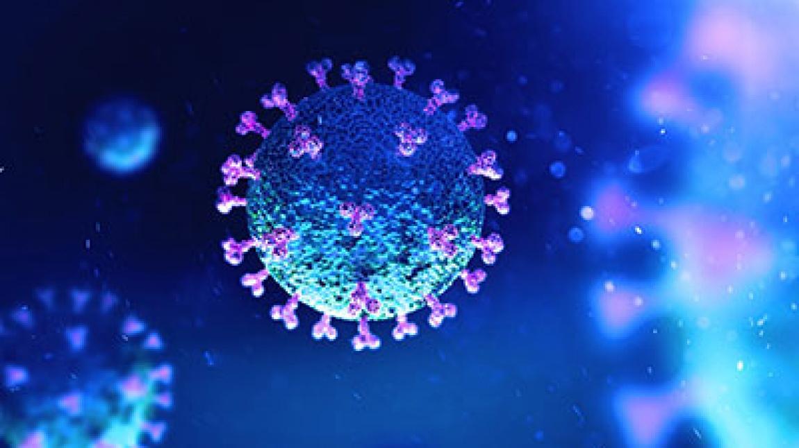 COVID-19 (Yeni Koronavirüs Hastalığı) Nedir?